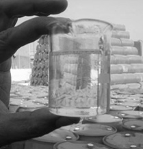 Chlorinated Paraffin Suppliers